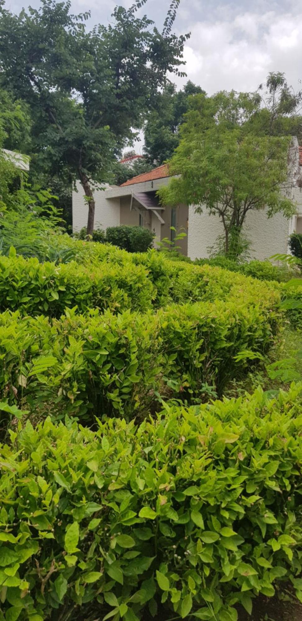 The Meadows Resort And Spa Aurangabad  Pokój zdjęcie